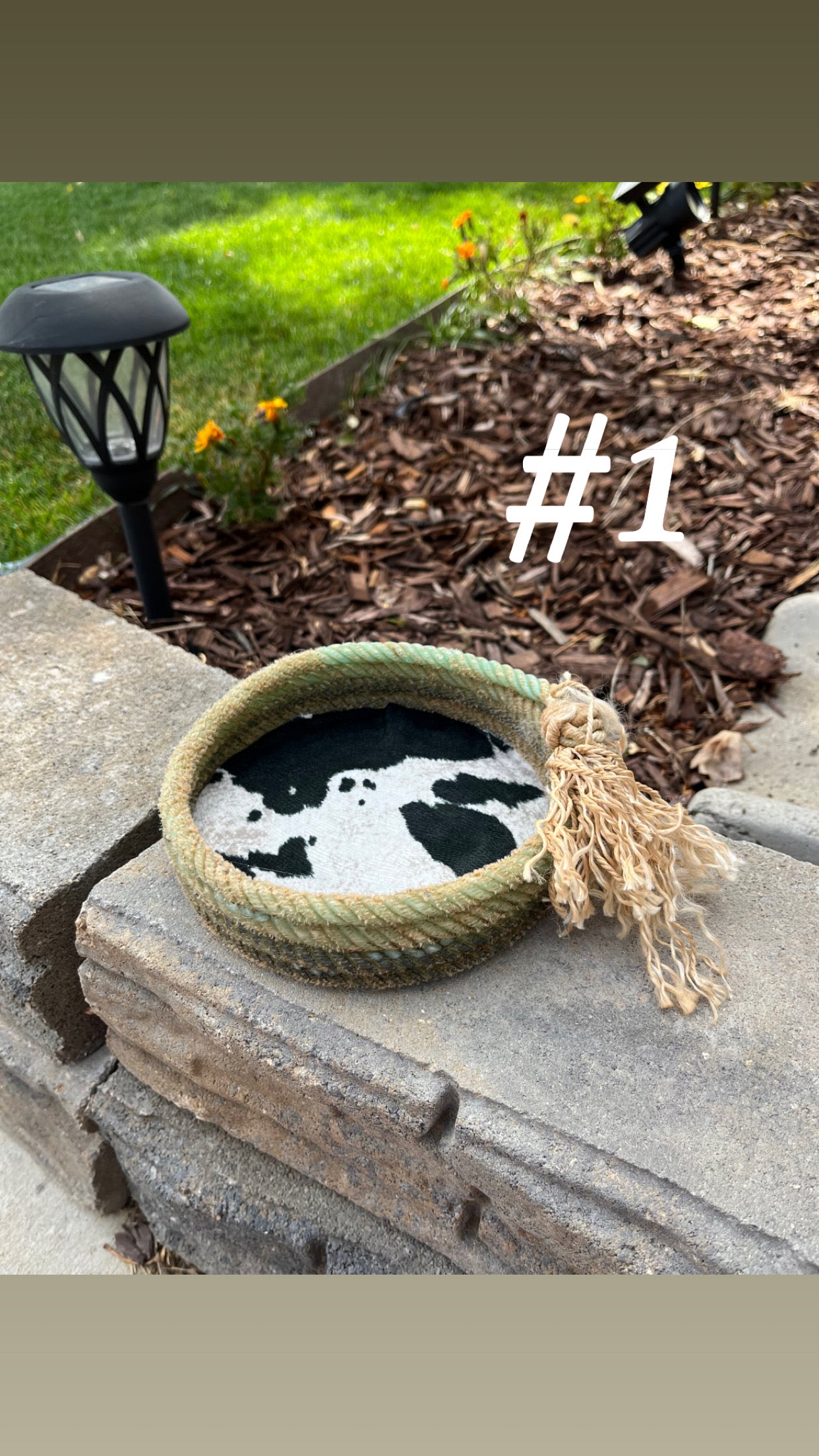 Cowboy catch all bowl W/cowhide