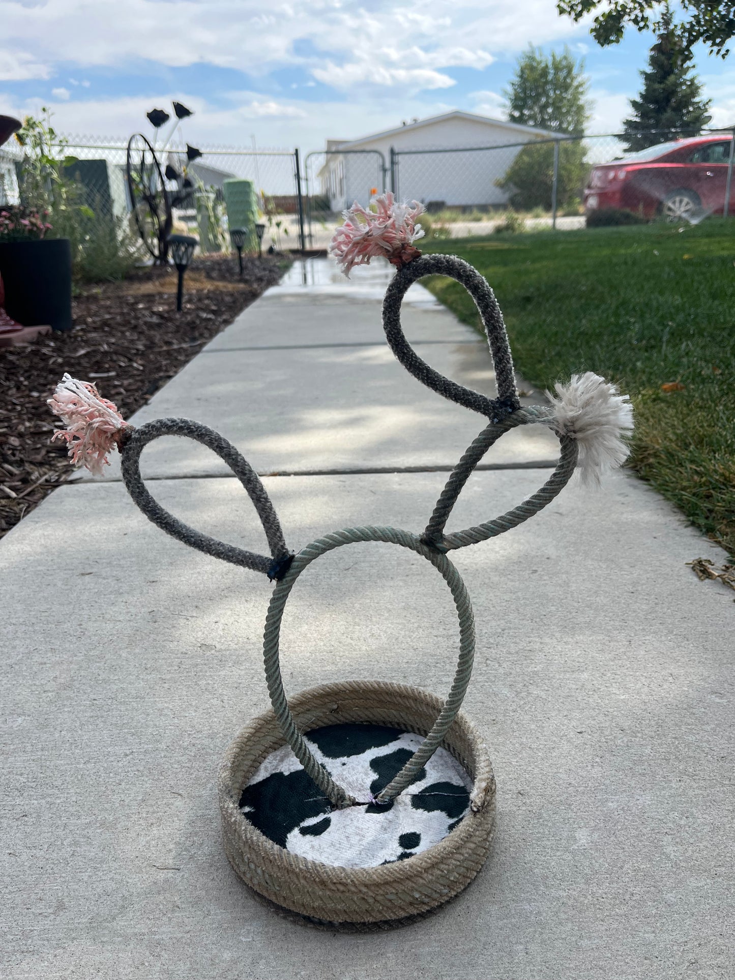 Cactus cowboy catch all bowl W/cowhide