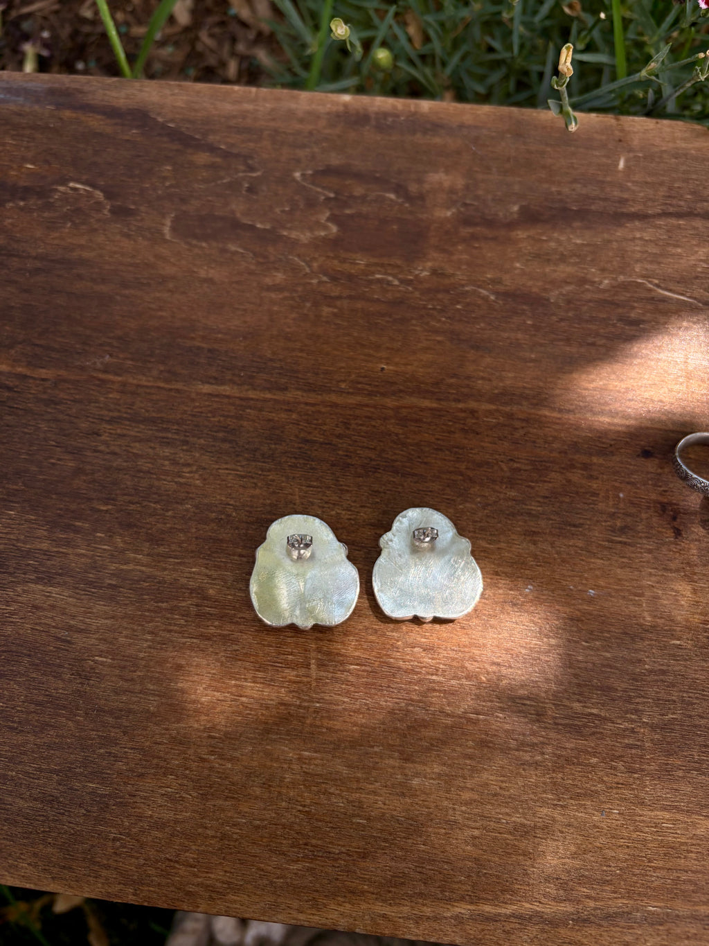 Sonoran cluster studs