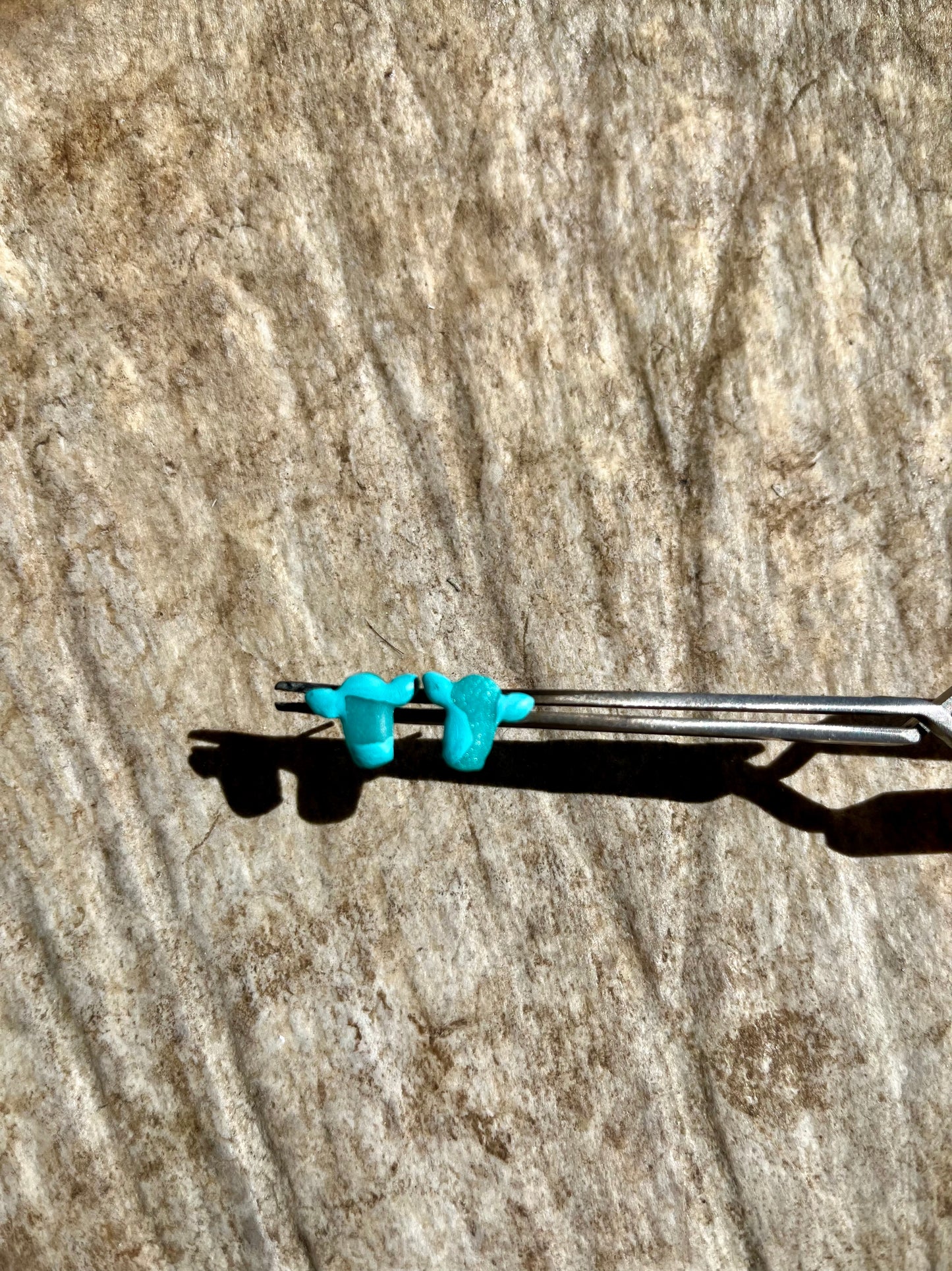 Two-Toned Turquoise Cow Earrings